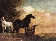 POTTER, Paulus Horses in a Field zg oil painting picture wholesale